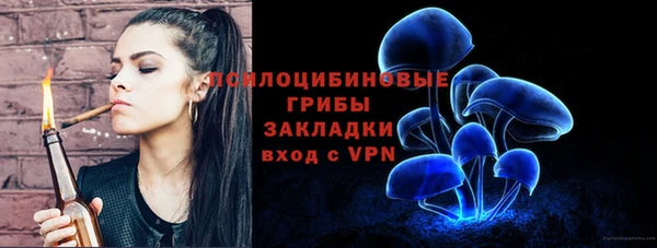 тгк Абаза
