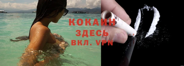 тгк Абаза