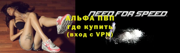 тгк Абаза
