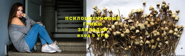 тгк Абаза