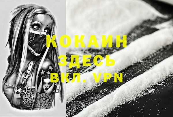 тгк Абаза