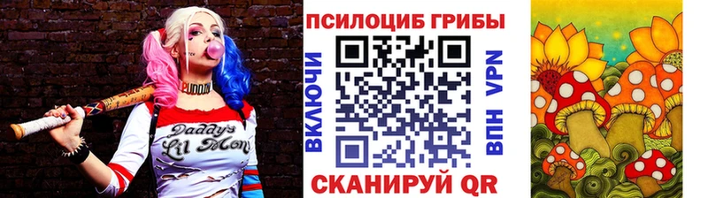 Псилоцибиновые грибы Cubensis что такое наркотик Грозный